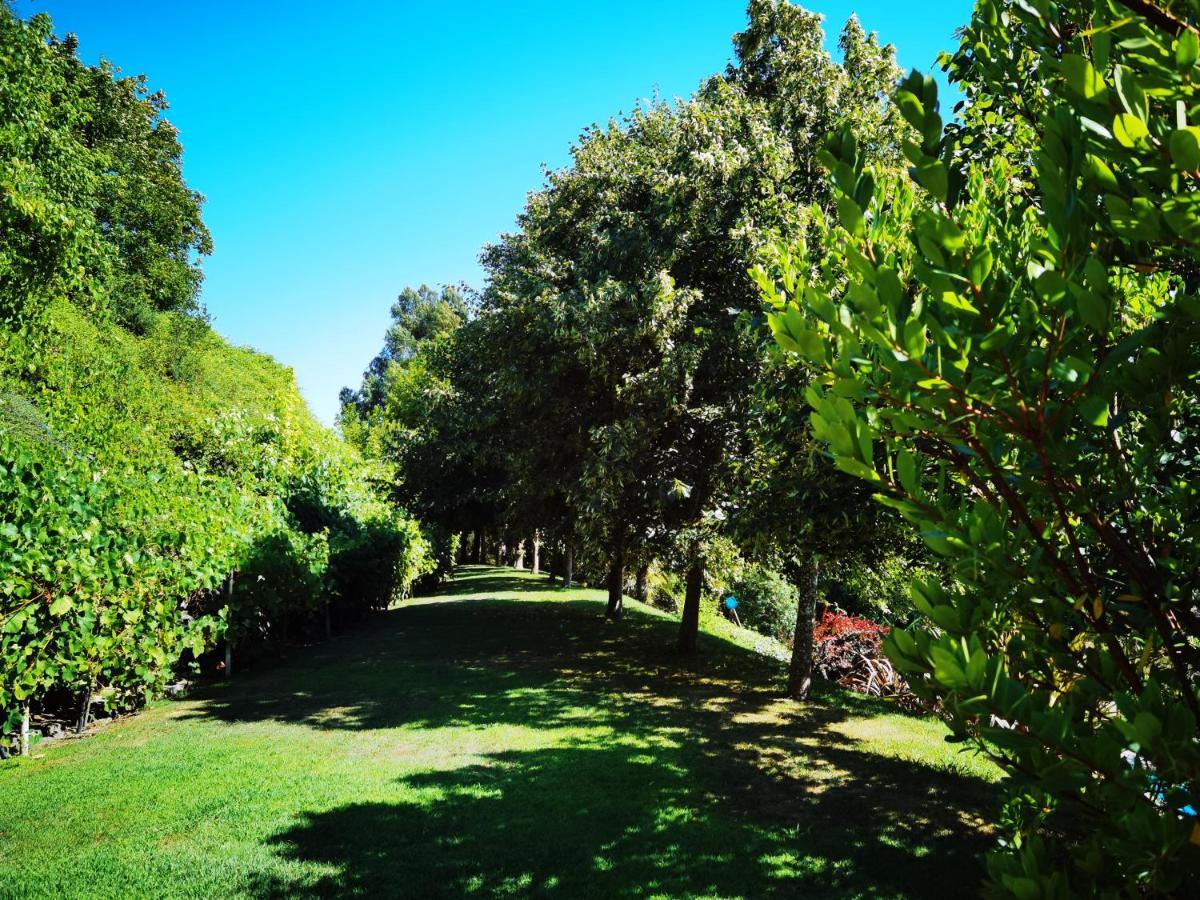 Quinta Do Vale Encantado "The Valley" - Santarem - Portugal Calhariz Exterior foto